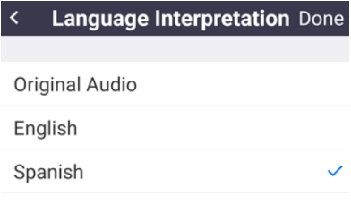 Zoom mobile screen showing available interpretation languages